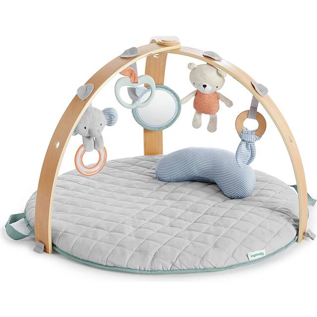 Ingenuity Cozy Spot Play Gym