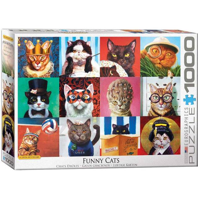 Funny Cats