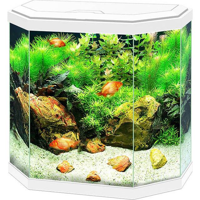 Ciano Aquarium Aqua Black 25 L