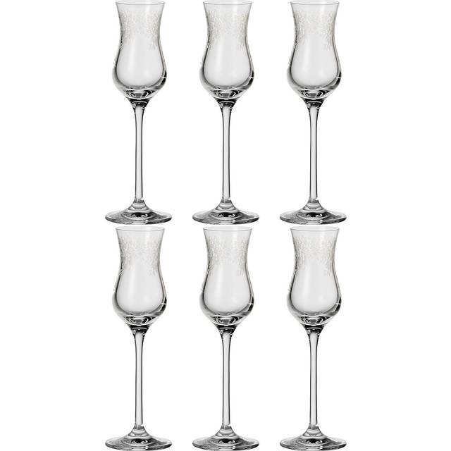 Leonardo Chateau grappa-glas, uppsättning med 6, diskmaskinssäkra digestif-glas, snapsglas med draget stjälk, bägare med gravyr, 9 cl, 035298