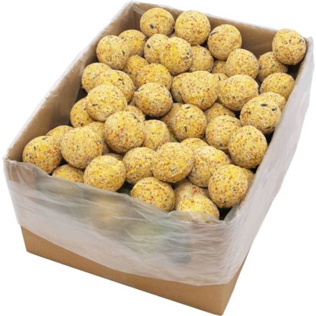 vidaXL Talgbollar för fåglar 200 st 90 g