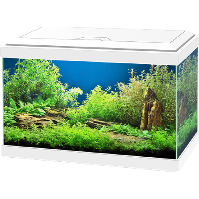 Ciano - Akvarium - Aqua 20 LED - Svart - 17 liter