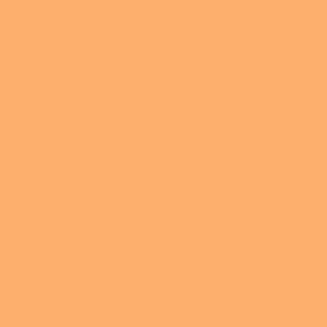 Winsor & Newton ProMarker Apricot