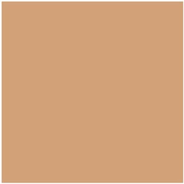 Winsor & Newton ProMarker Cinnamon