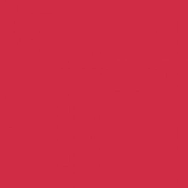 Winsor & Newton Promarker Brush Marker Pen Dual Tip Berry Red