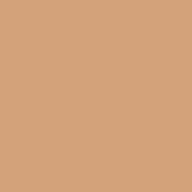 Winsor & Newton Promarker Brush Marker Pen Dual Tip Cinnamon