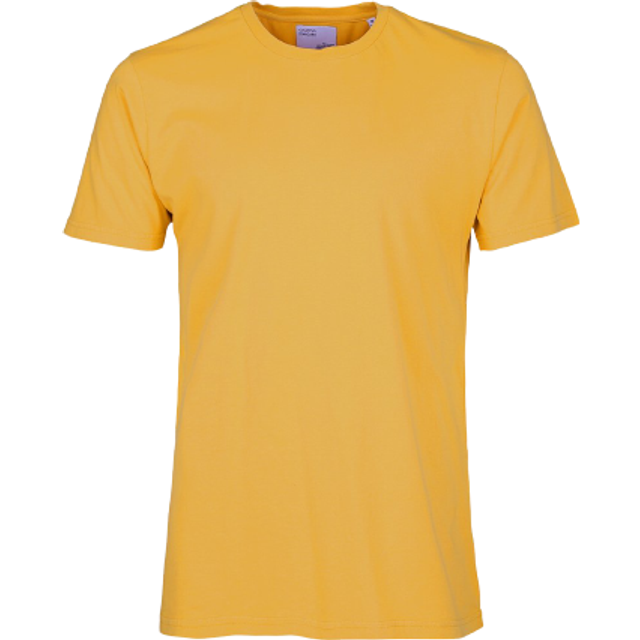 T-shirt Colorful Standard Classic Organic burned yellow - Jaune - M