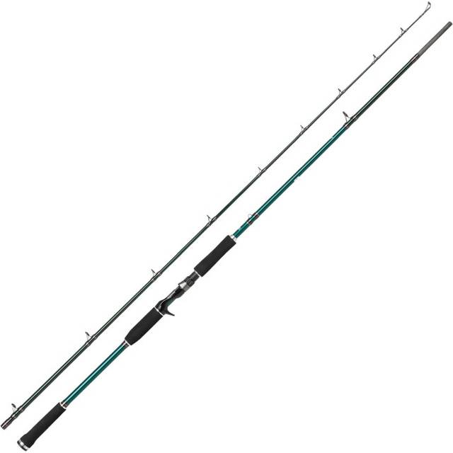 BEAST X Pike 842 XH 40-140g Casting