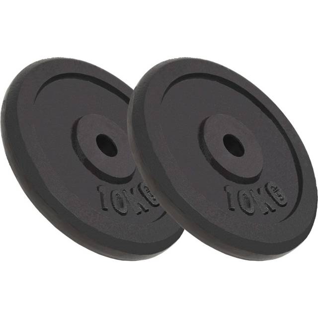 vidaXL Weight Plates 2 pcs 2x10 kg Cast Iron