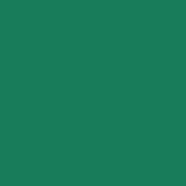 Copic Ciao Marker Pine Tree Green G29