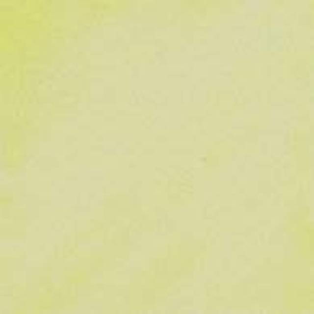 Copic Sketch Marker Pale Lemon Y000