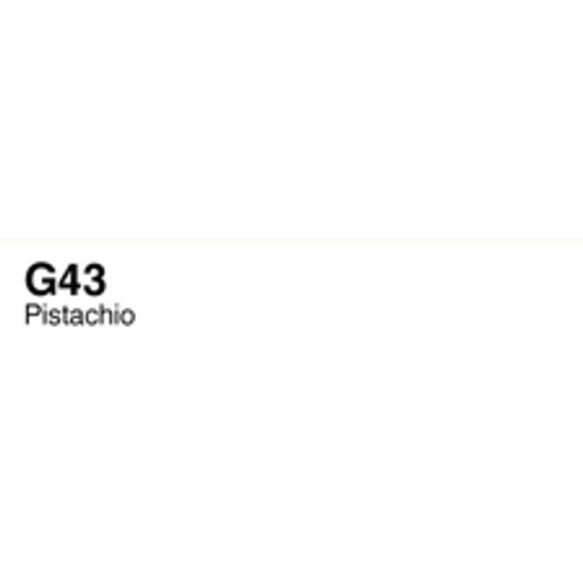 Copic Sketch Marker Pistachio G43