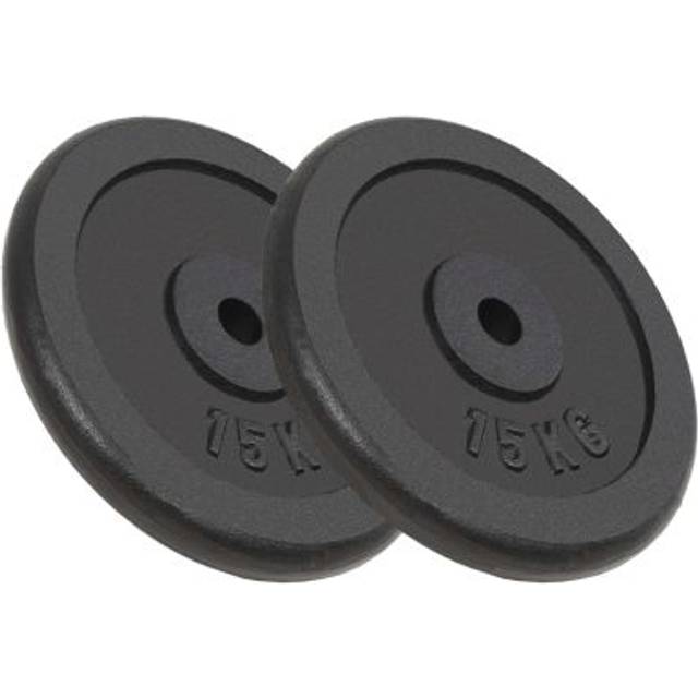 vidaXL Weight Plates 2 pcs 2x15 kg Cast Iron