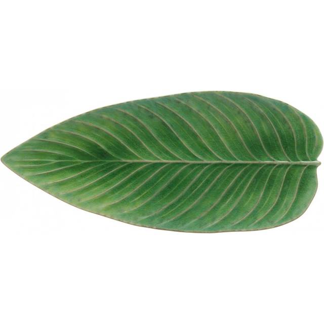 Costa Nova Riviera Strelizia Leaf Platter