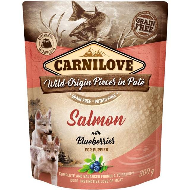 Carnilove Dog Pouch Paté Salmon with berries for Puppies 300 g