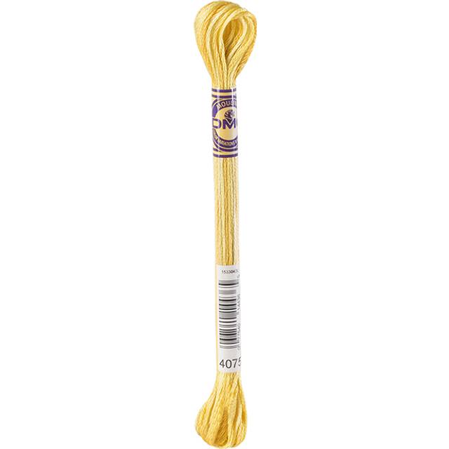 Dmc Color Variations Embroidery Thread