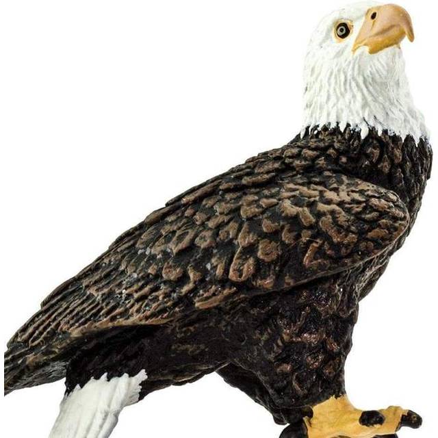 "Safari Ltd. Bald Eagle Figurine - Realistic 2.4"""" Bird Figure - Educational Toy for Boys  Girls  and Kids Ages 3+"