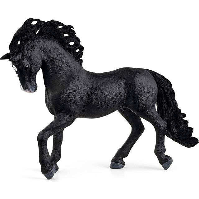 Pura Raza Española Stallion