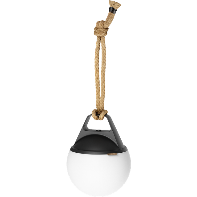 Light 150