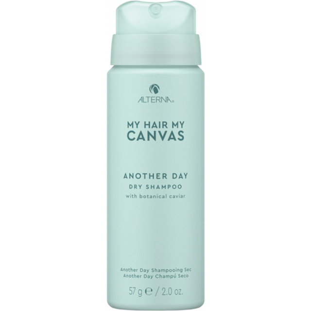 Alterna My Hair My Canvas Another Day Dry Shampoo 57g