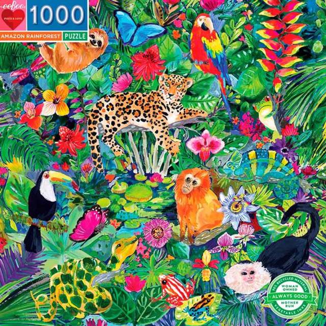 Amazon Rainforest
