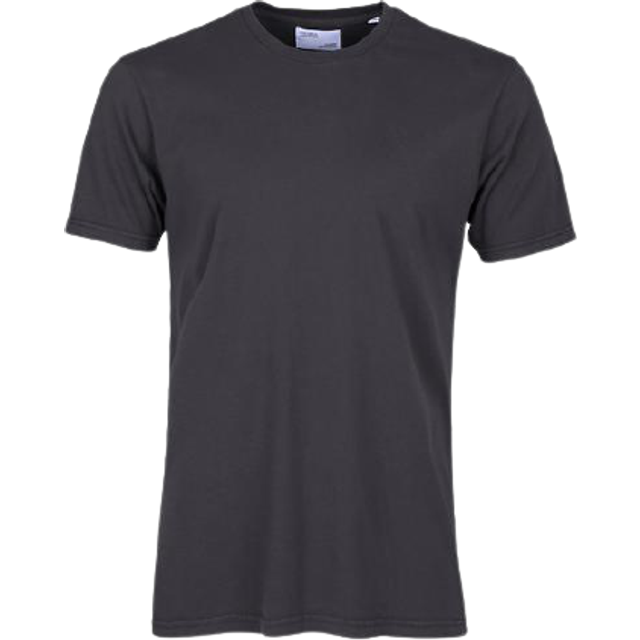 T-shirt Colorful Standard classic organic - Gris