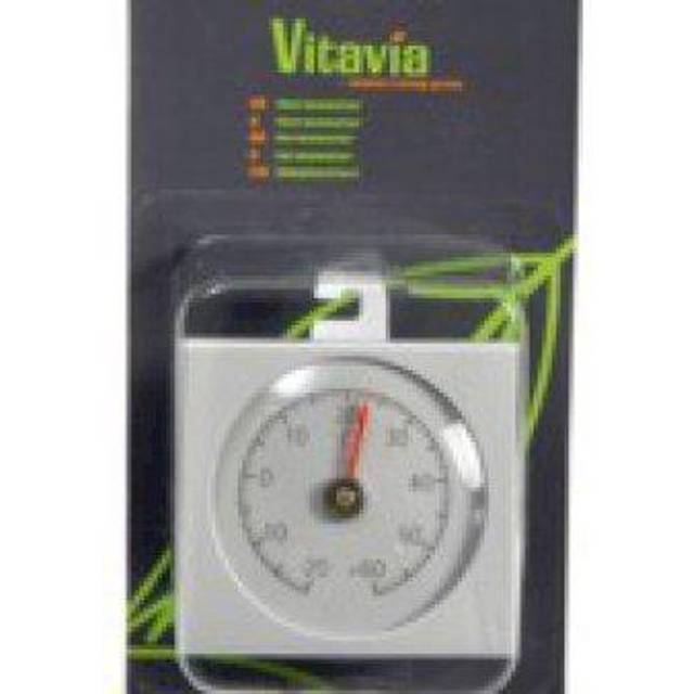 Termometer Vitavia Till Växthus Silver