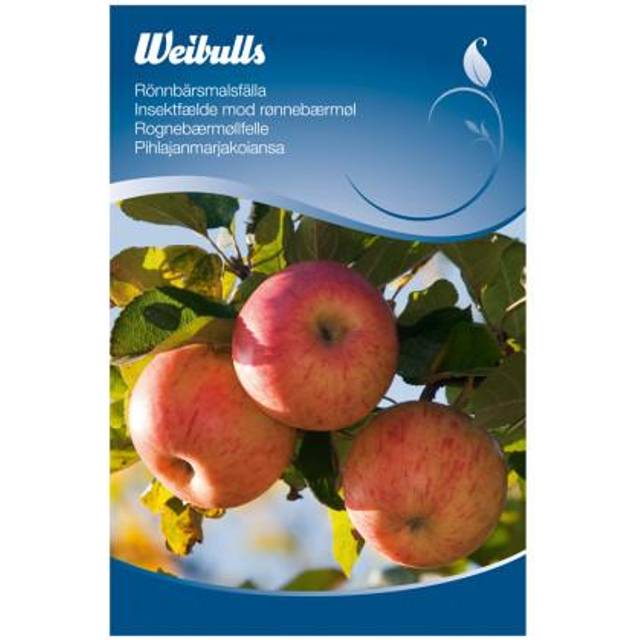 Weibulls Feromonfällor Rönnbärsmal