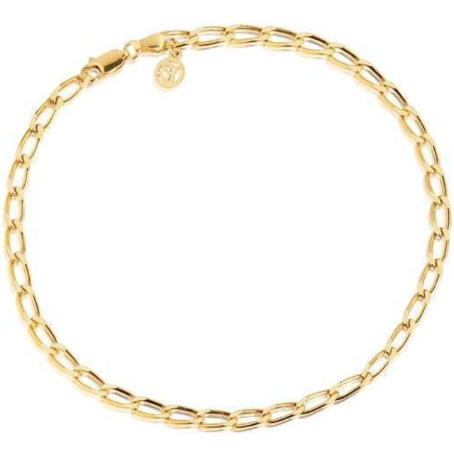 SIF Jakobs Fußkette / Fußband - Cheval - SJ-A12032-SG - gold