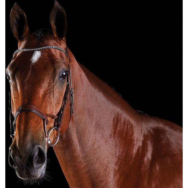 Collegiate ComFiTec Crystal Bridle - Brown / Warmblood