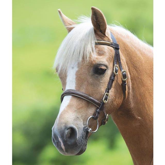 Shires Velociti GARA Clincher In-hand Bridle - Black / Pony