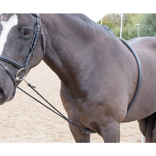 Shires Soft Lunge Aid, Black
