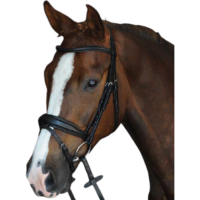 Collegiate Mono Crown Padded Raised Flash Bridle - Black / Warmblood