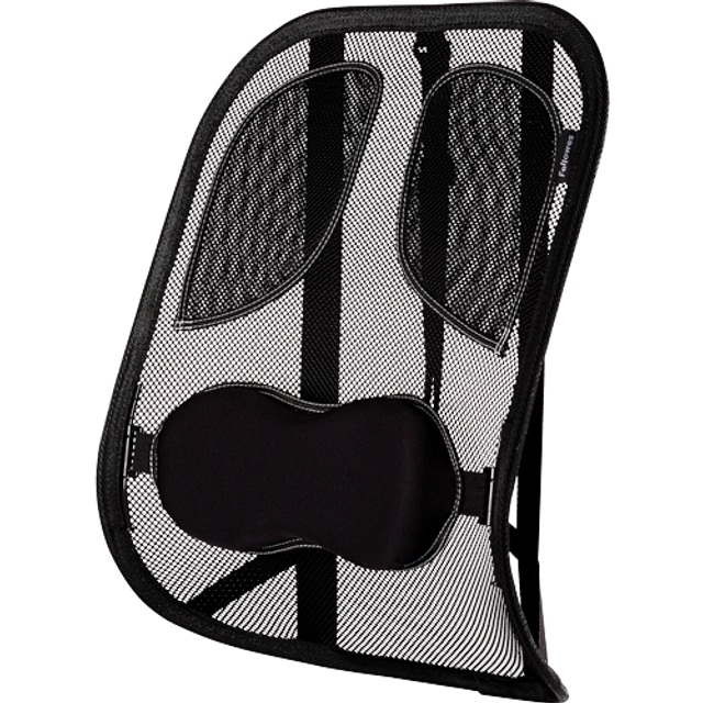 Fellowes Back Support for Office Chair - Professional Series Mesh Office Chair Back Support - Easy To Attach - H19.53 x W30.32 x D36.99cm