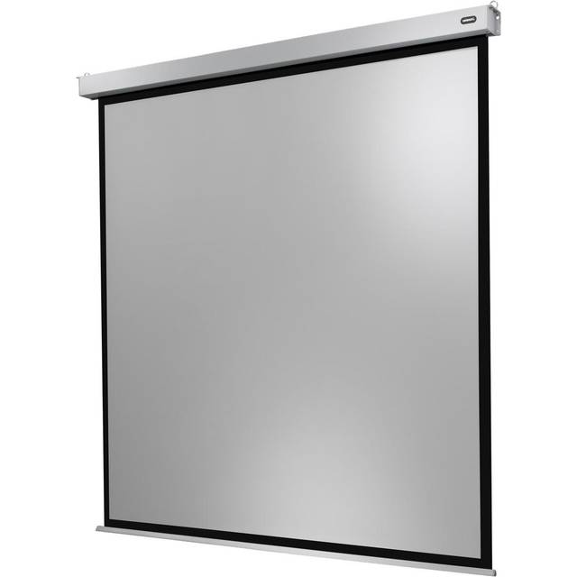 celexon motordriven projektorduk Professional Plus 220 x 220 cm