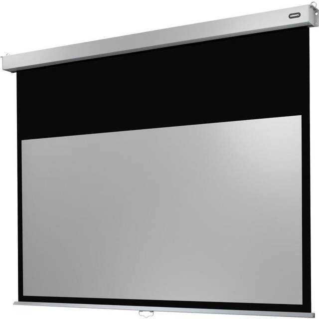 celexon manuell projektorduk Professional Plus 220 x 124 cm, 99"
