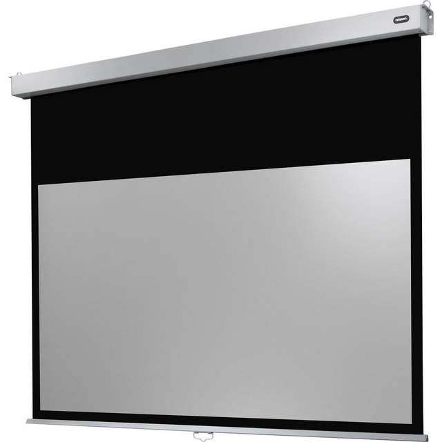 celexon manuell projektorduk Professional Plus 220 x 137 cm, 102"