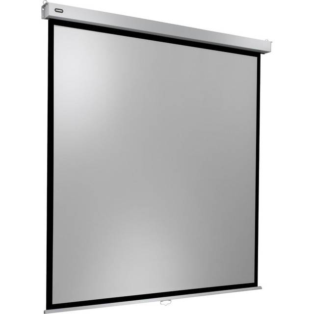 celexon manuell projektorduk Professional Plus 160 x 160 cm, 89"