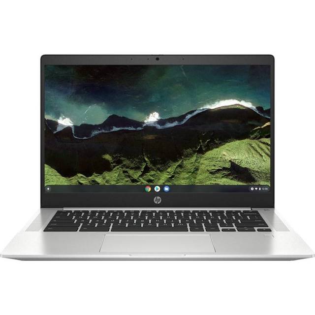 HP Pro c640 G2 Chromebook Enterprise - Intel Core i3 - 1115G4 / upp till 4.1 GHz - Chrome OS (med Chrome Enterprise-uppgradering) - UHD Graphics - 8 GB RAM - 128 GB SSD NVMe, TLC, HP Value - 14" IPS 1920 x 1080 (Full HD) - Wi-Fi 6 - silveraluminum - kbd: