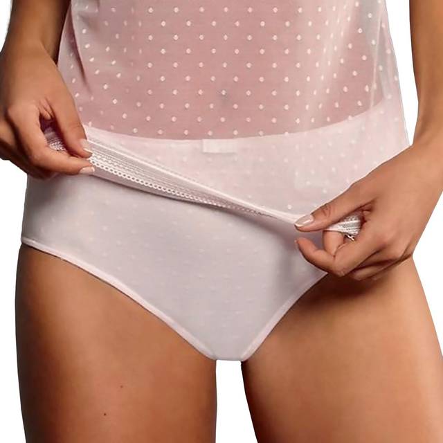 Women's high-waisted briefs Anita emily - Rose