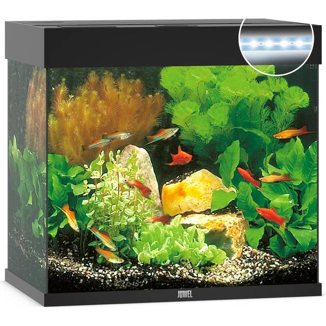 Juwel Lido 120 liter LED - Vit