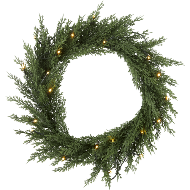 Star Trading 612-76 Thuja Grön 20Ljus