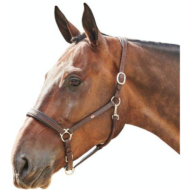John Whitaker RT Headcollar - Brown