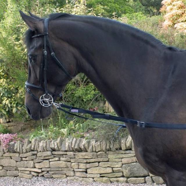 Whitaker Elasticated Side Reins One Size mörkblå