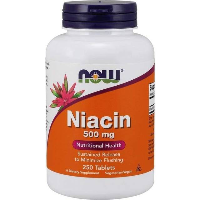 NOW Niacin Sustained Release 500 mg - 250 Tablets