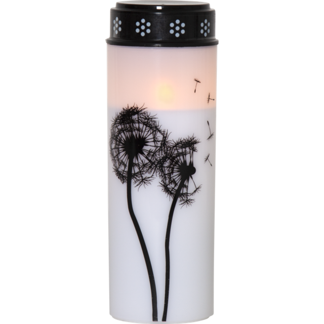 Star Trading - LED Gravljus Dandelion - 21cm - Vit