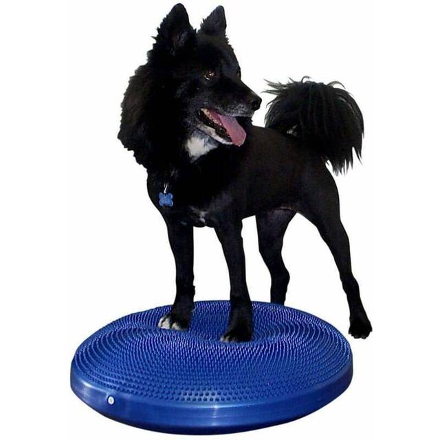 FitPAWS Balansplatta för hund 56 cm blå