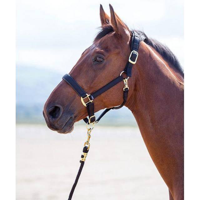 Shires Topaz Nylon Headcollar - Small Pony · Green