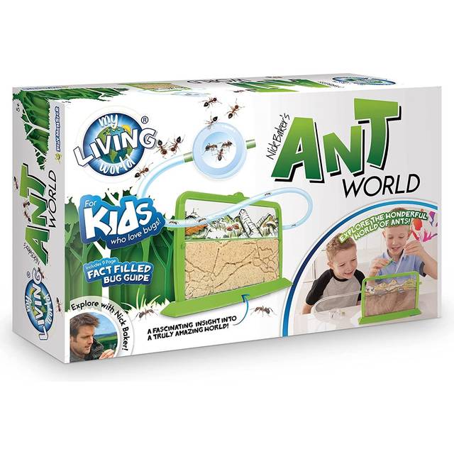 Ant Farm