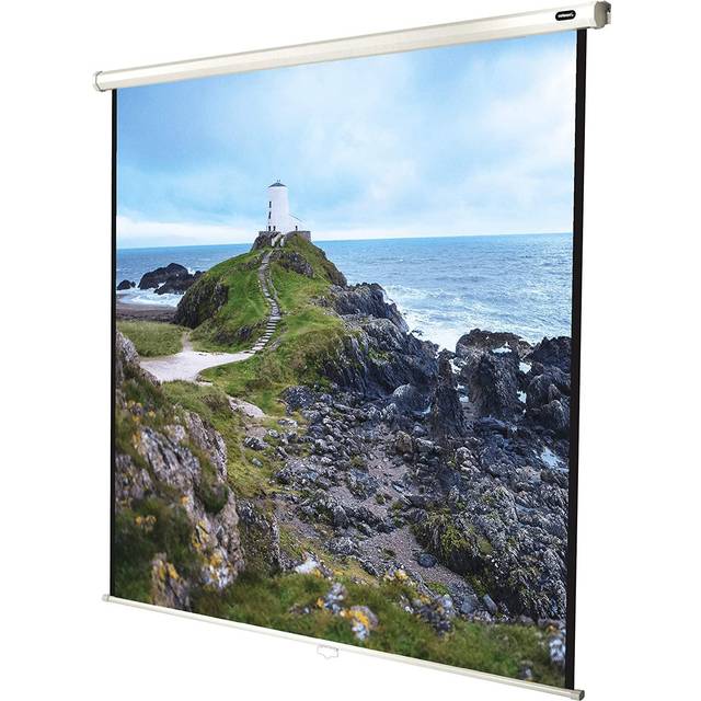 celexon manuell projektorduk Economy 180 x 180 cm, 100"